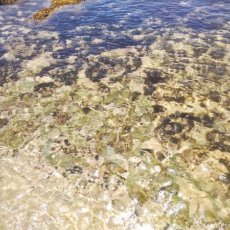 Dalawella Beach Resort Unawatuna Zewnętrze zdjęcie
