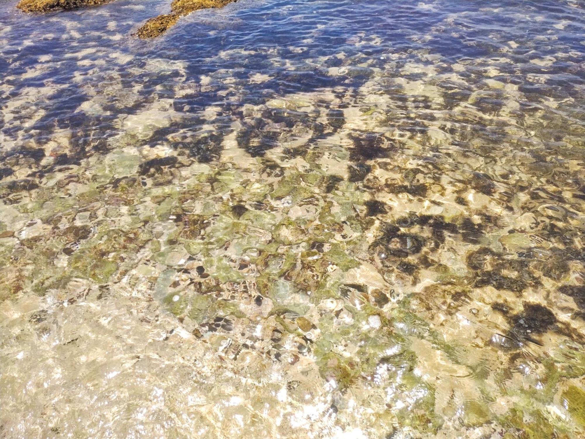 Dalawella Beach Resort Unawatuna Zewnętrze zdjęcie