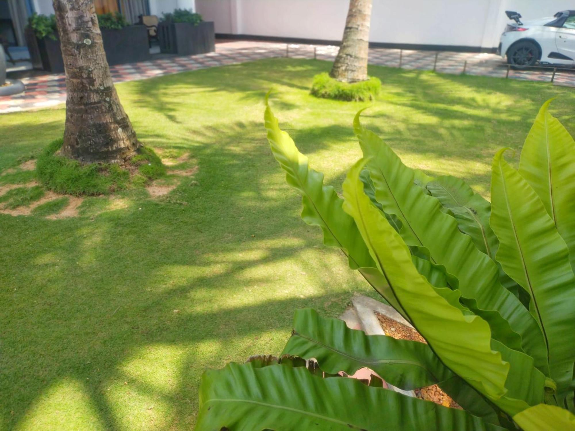 Dalawella Beach Resort Unawatuna Zewnętrze zdjęcie