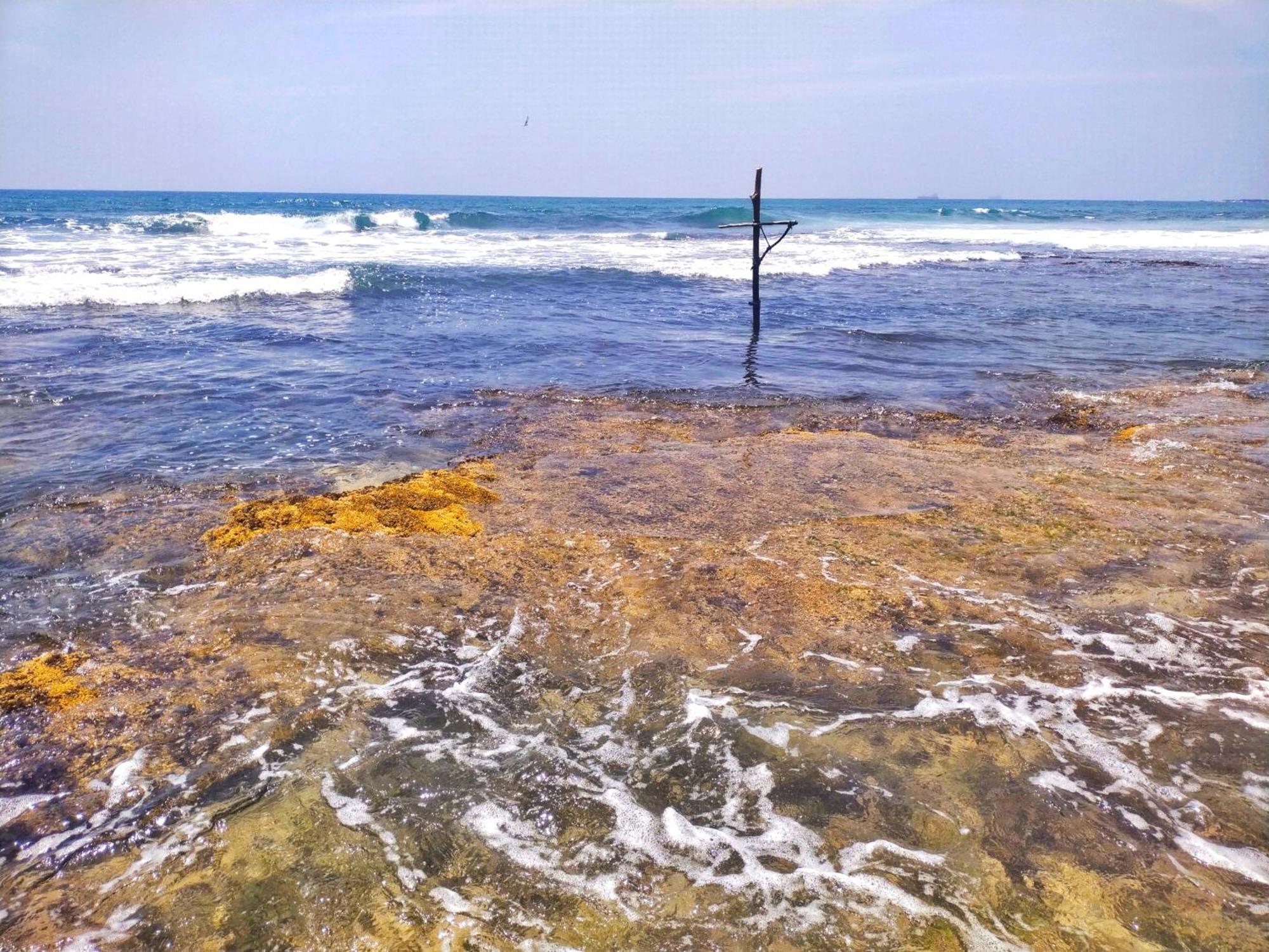 Dalawella Beach Resort Unawatuna Zewnętrze zdjęcie
